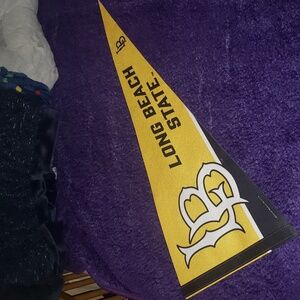 6 College Pennant Flags